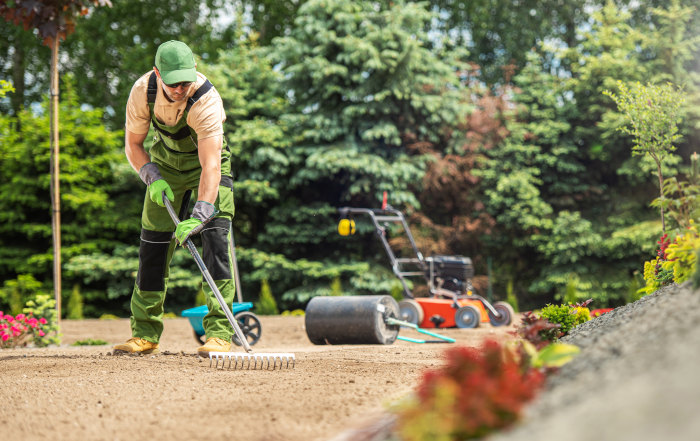 Grass Seeding