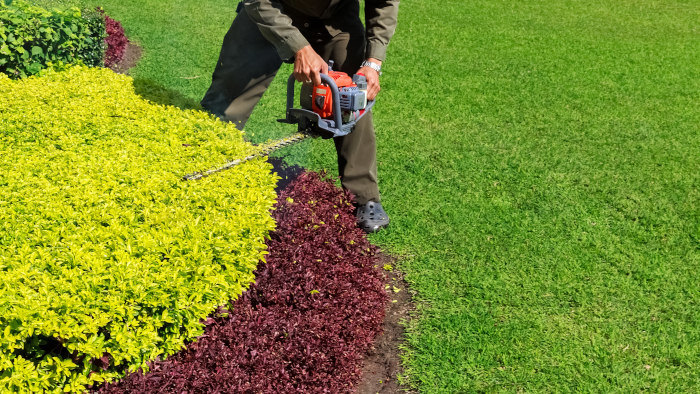 Hedge Trimming