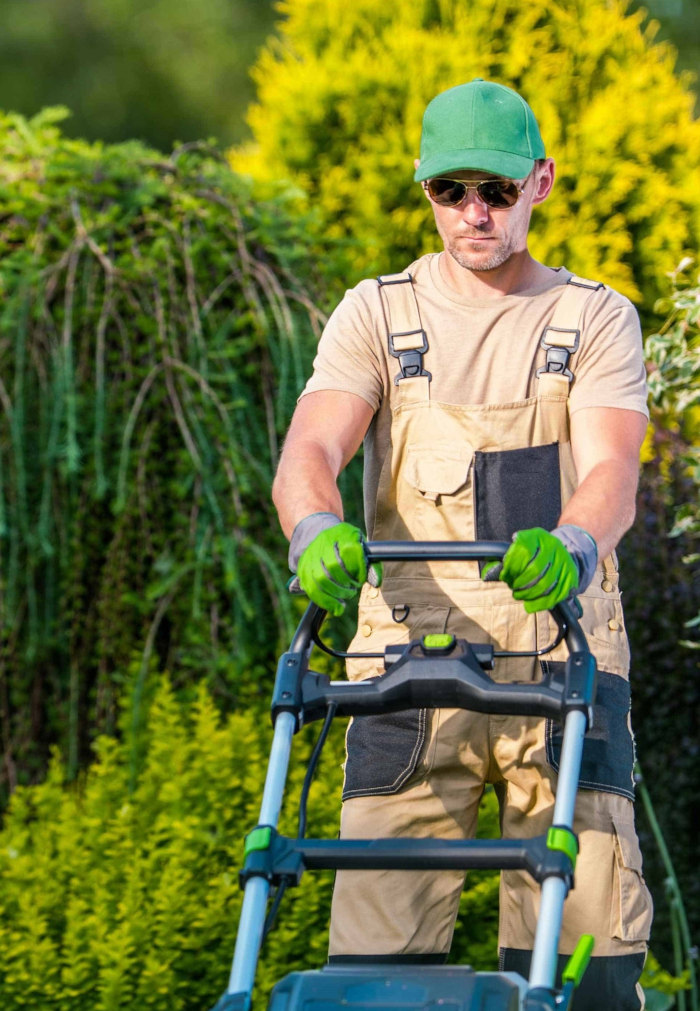 Hero background of Lawn Mowing