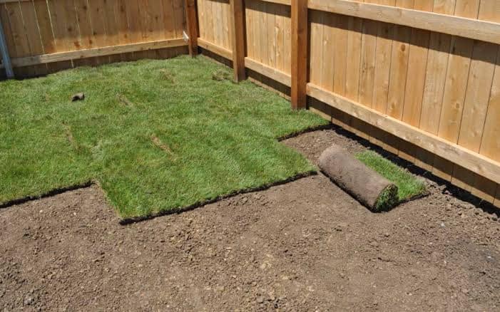 SOD Installation